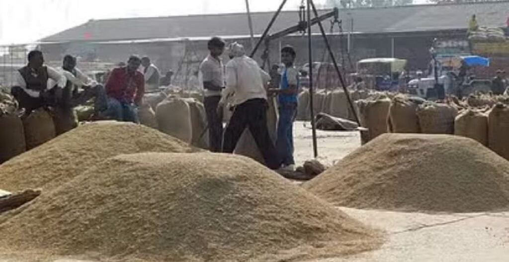 धान खरीदी